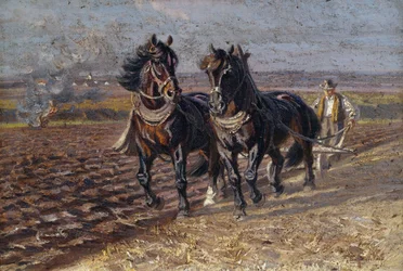 Two Black Horses at the Plow
